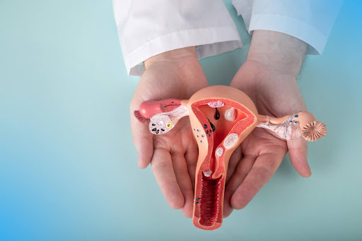 Pregnancy-to-Menopause
