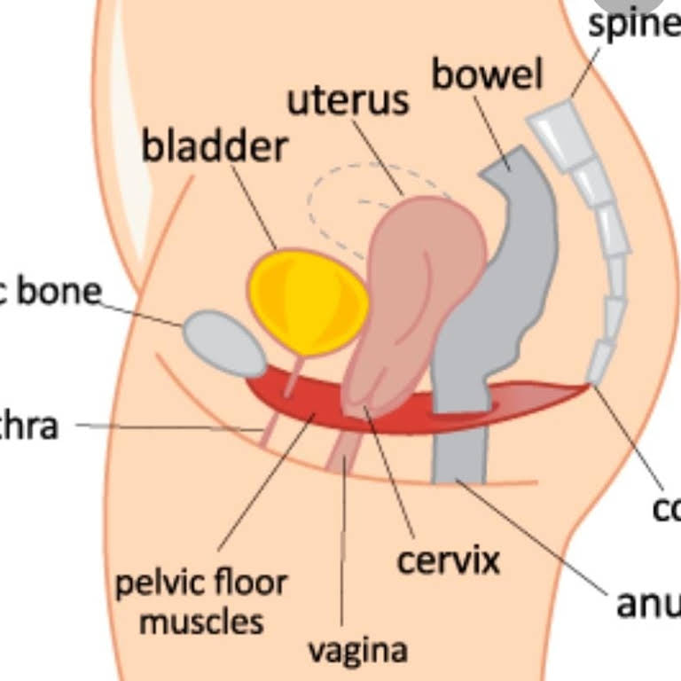 Best gynaecologists in thane