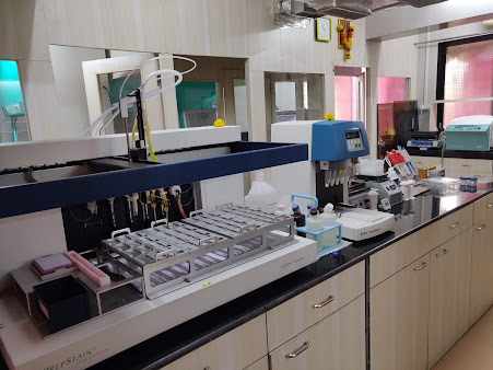Best gynaecologists in thane